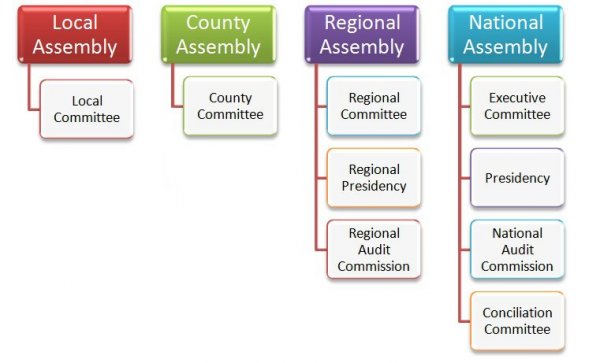 Structure of the party 1